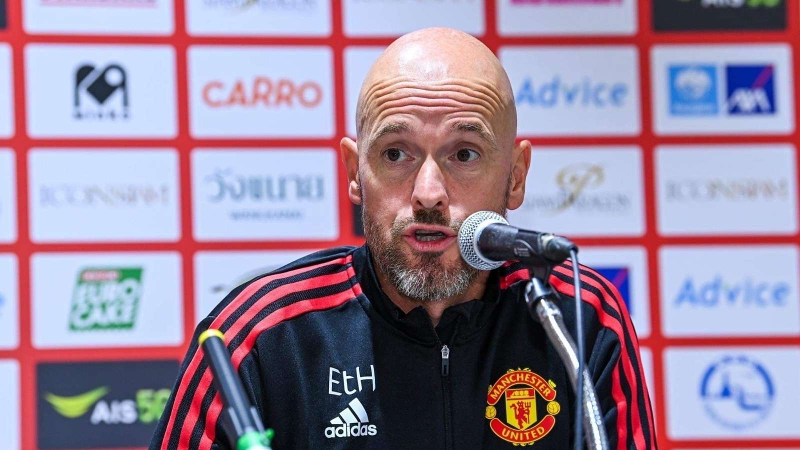 涯并非一帆 涯并非一帆